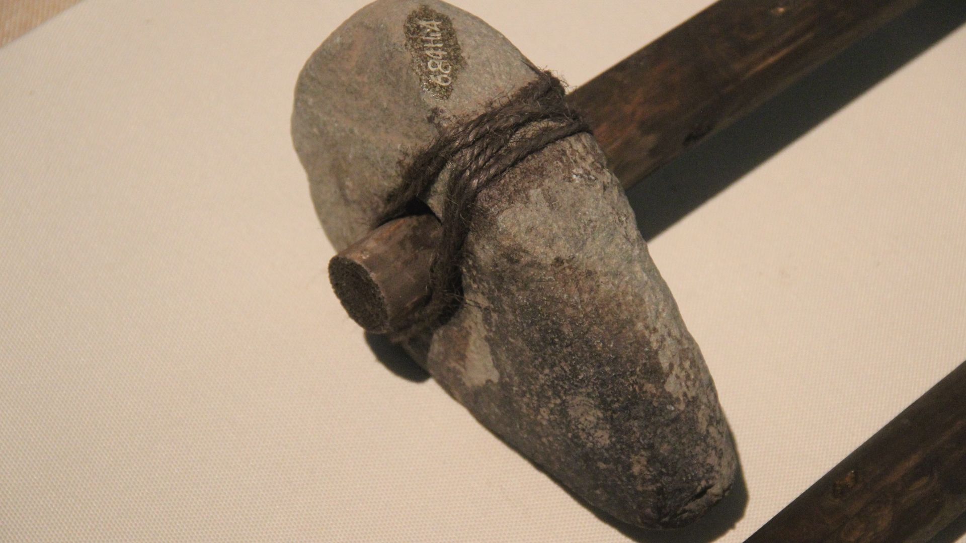 File:Neolithic Stone Hammer (19773851016).jpg