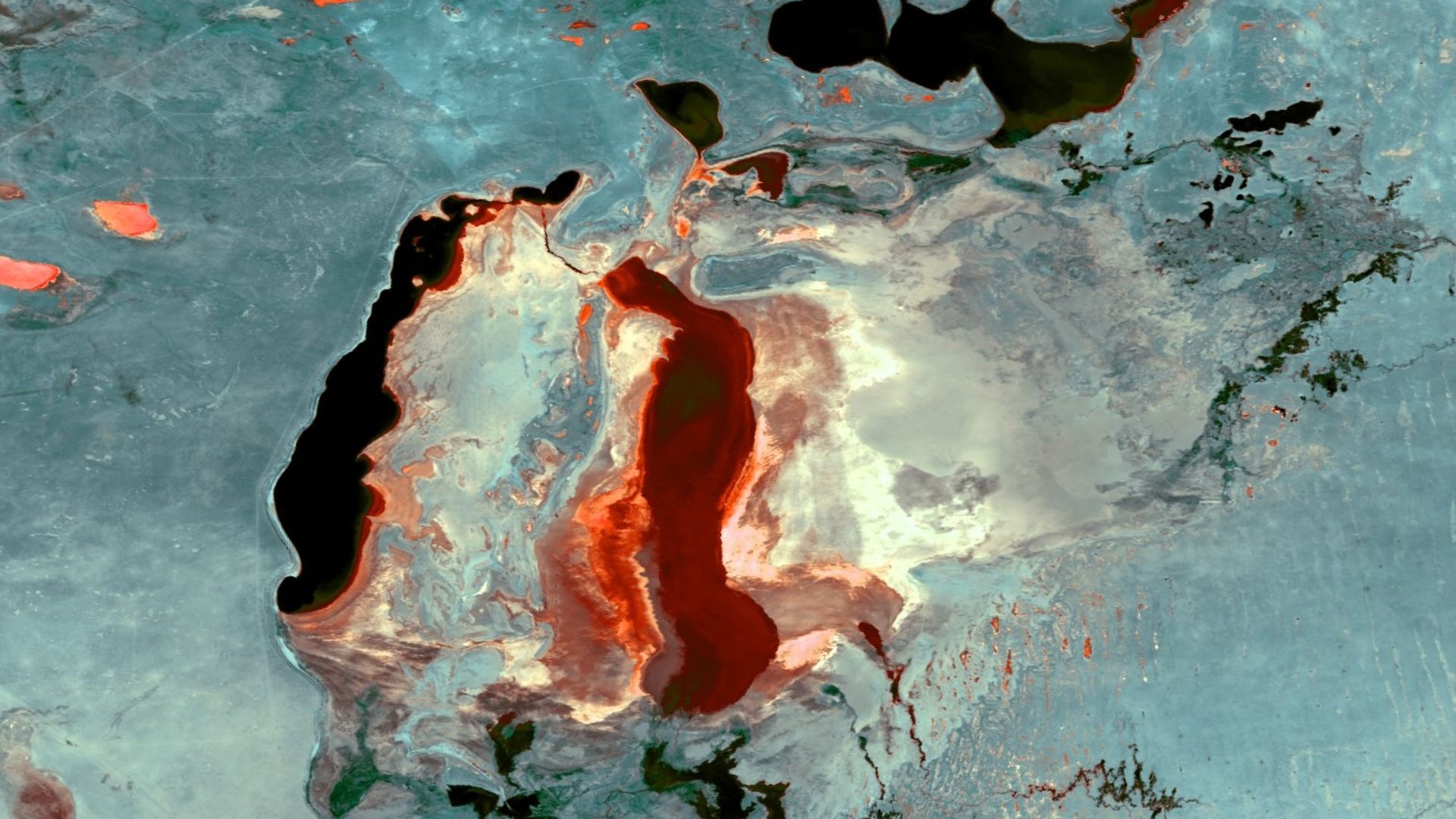 File:Colorful Multispectral Imagery of the Aral Sea (24270793842).jpg