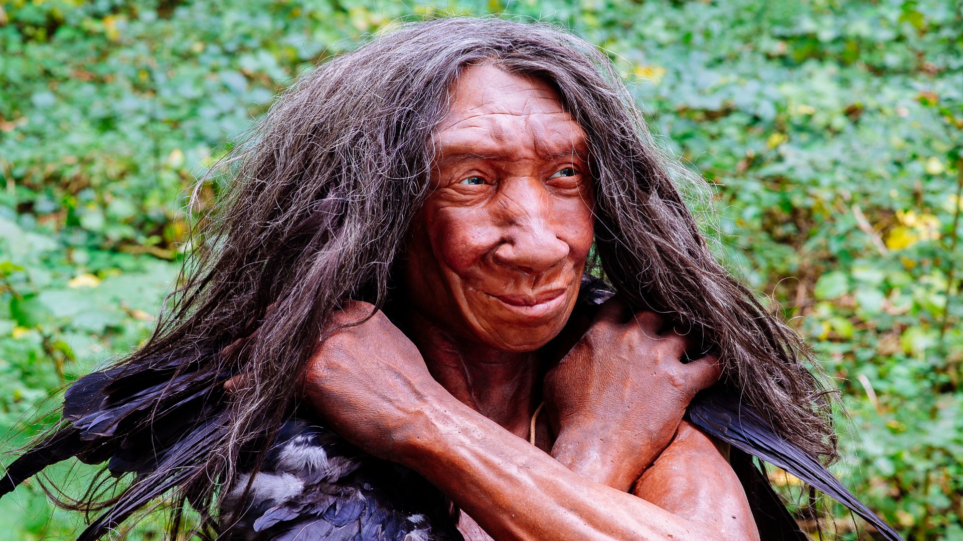 File:Homo sapiens neanderthalensis (Fundort Gibraltar).jpg