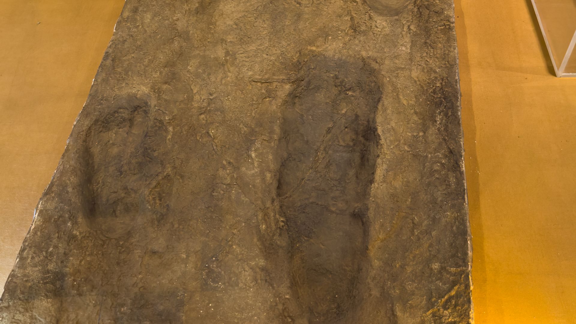 File:At Nairobi National Museum 2025 082.jpg