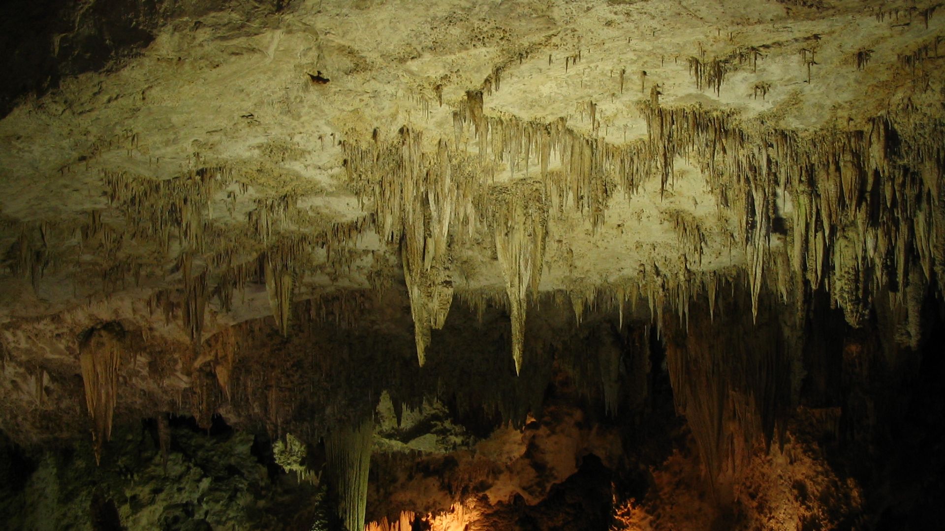 File:Carlsbad Caverns National Park, Near Carlsbad, New Mexico - 66187151.jpg