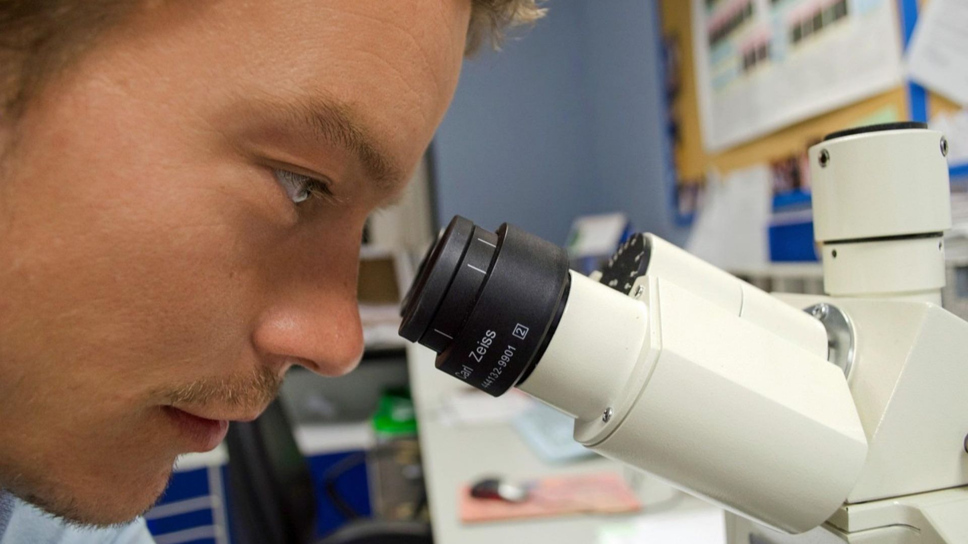 PublicDomainPictures