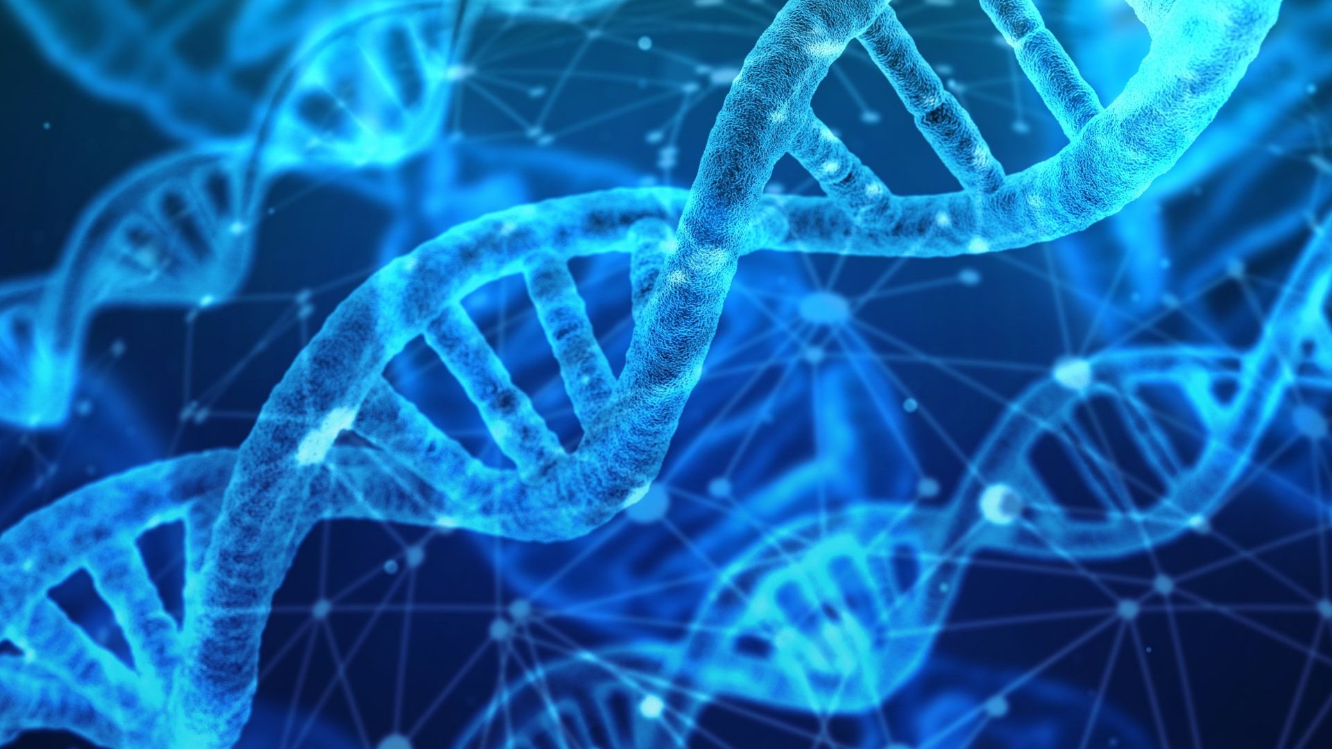 File:DNA strands.jpg