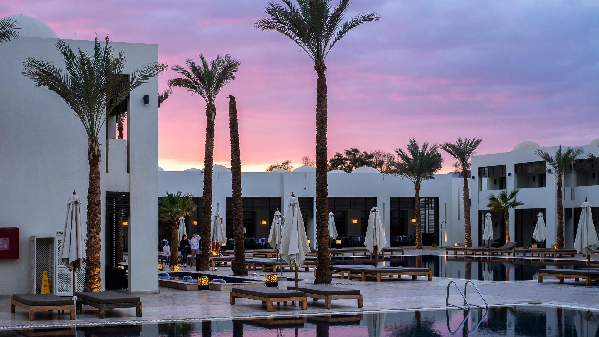 a large swimming pool surrounded by palm trees