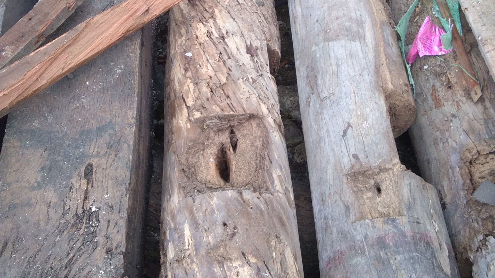 File:Rubas Used as Posts.jpg