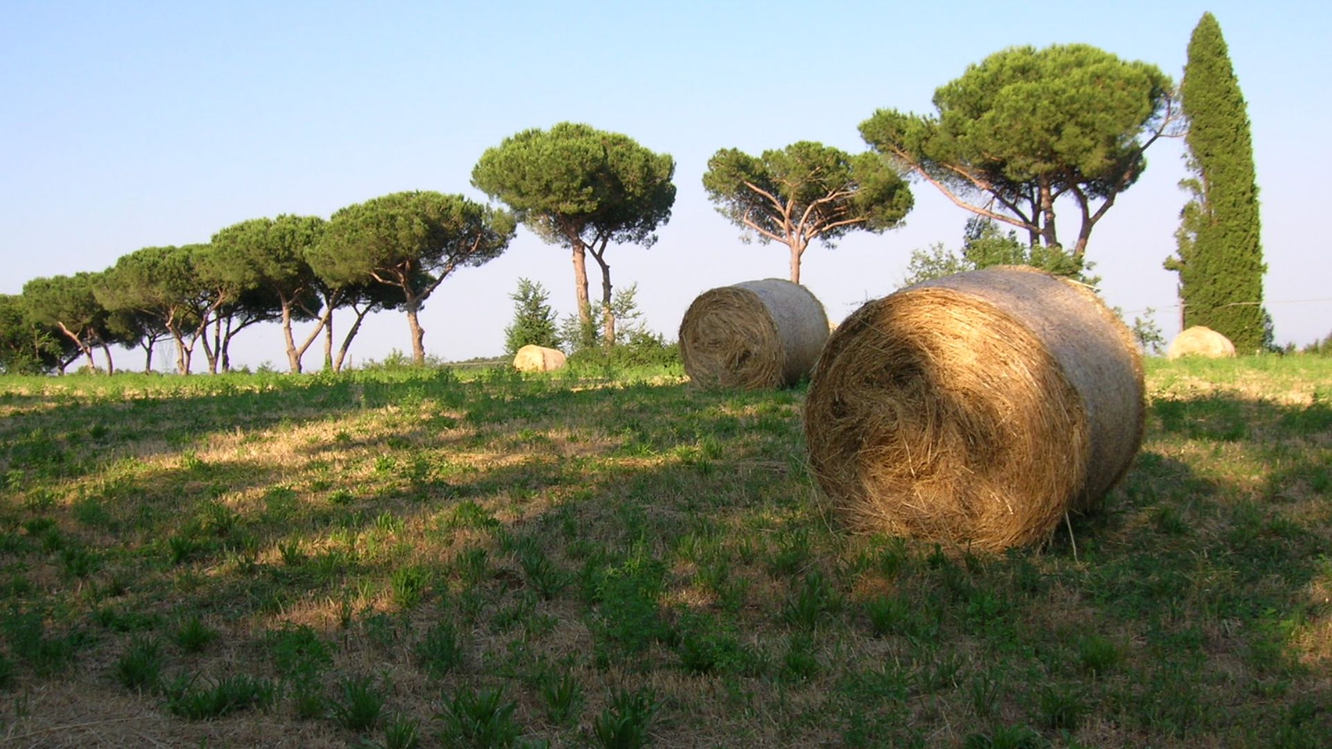 File:Campo nel Parco di Veio.JPG