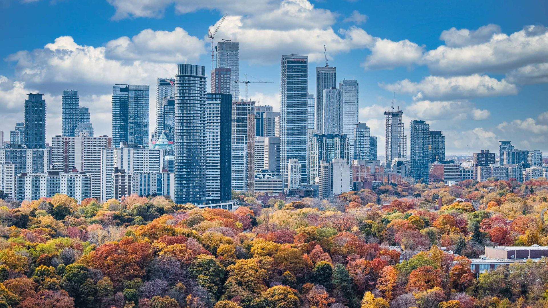 File:Toronto skyline - 2024 (54114665313).jpg