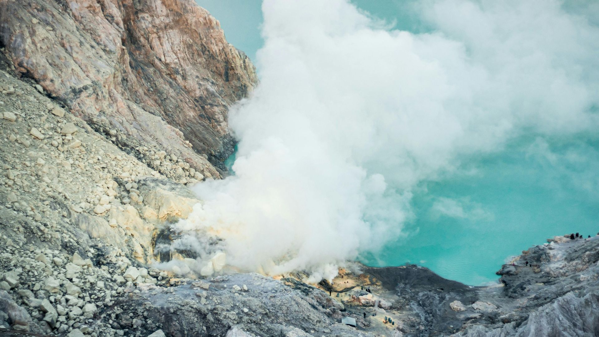 selpa okta prima tysmayer