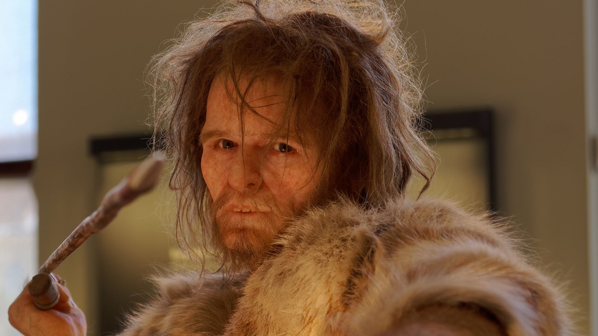 File:Homo Sapiens, Cro-Magnon 1 The Natural History Museum Vienna, 20210730 1223 1272.jpg