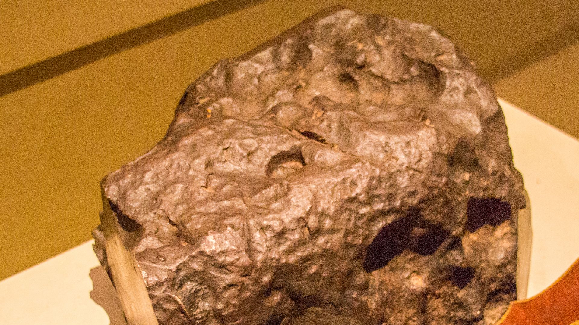 File:Tatton Park 2016 204.jpg