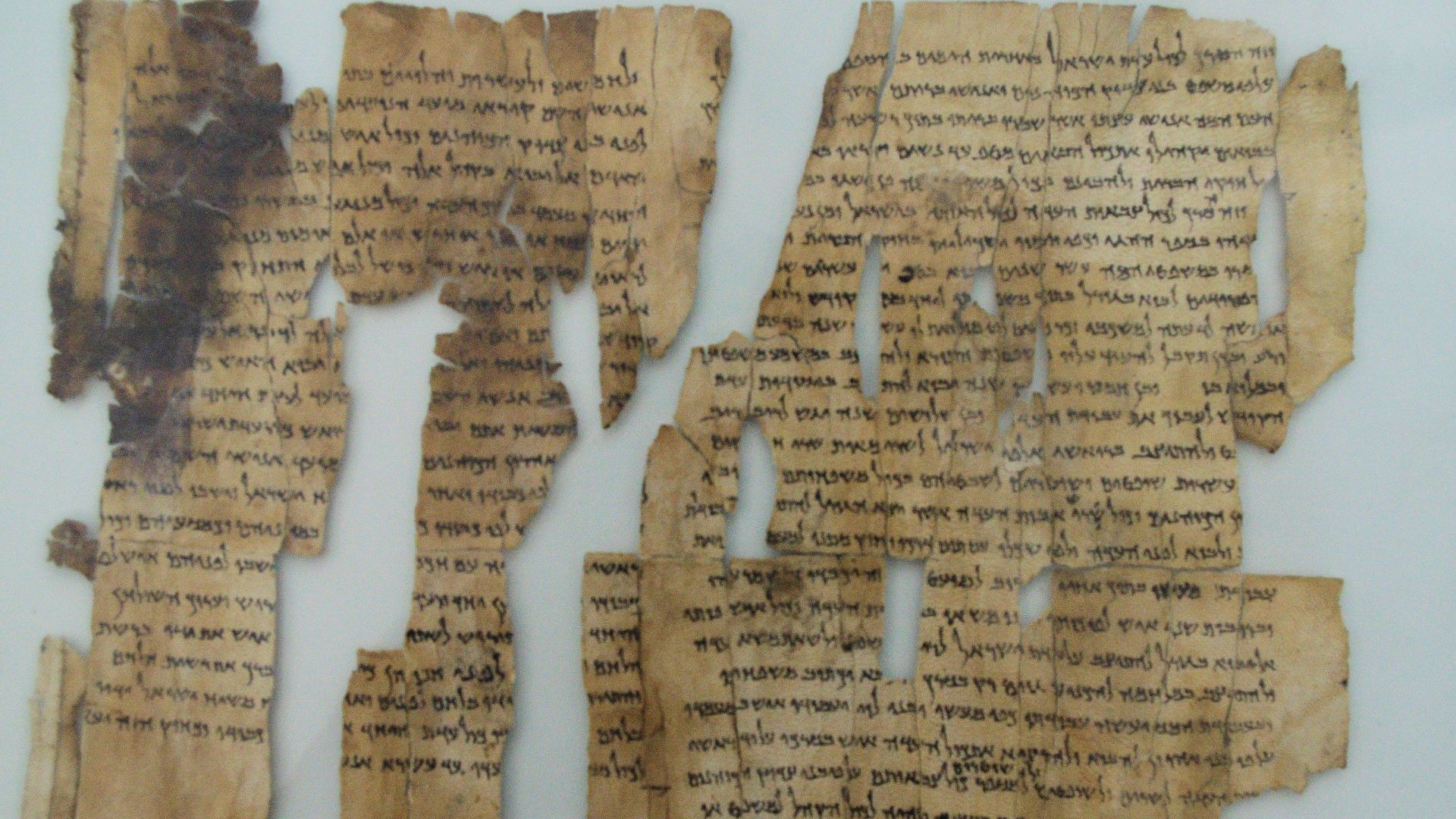 File:Dead Sea Scroll -- the World's Oldest Secrets.jpg