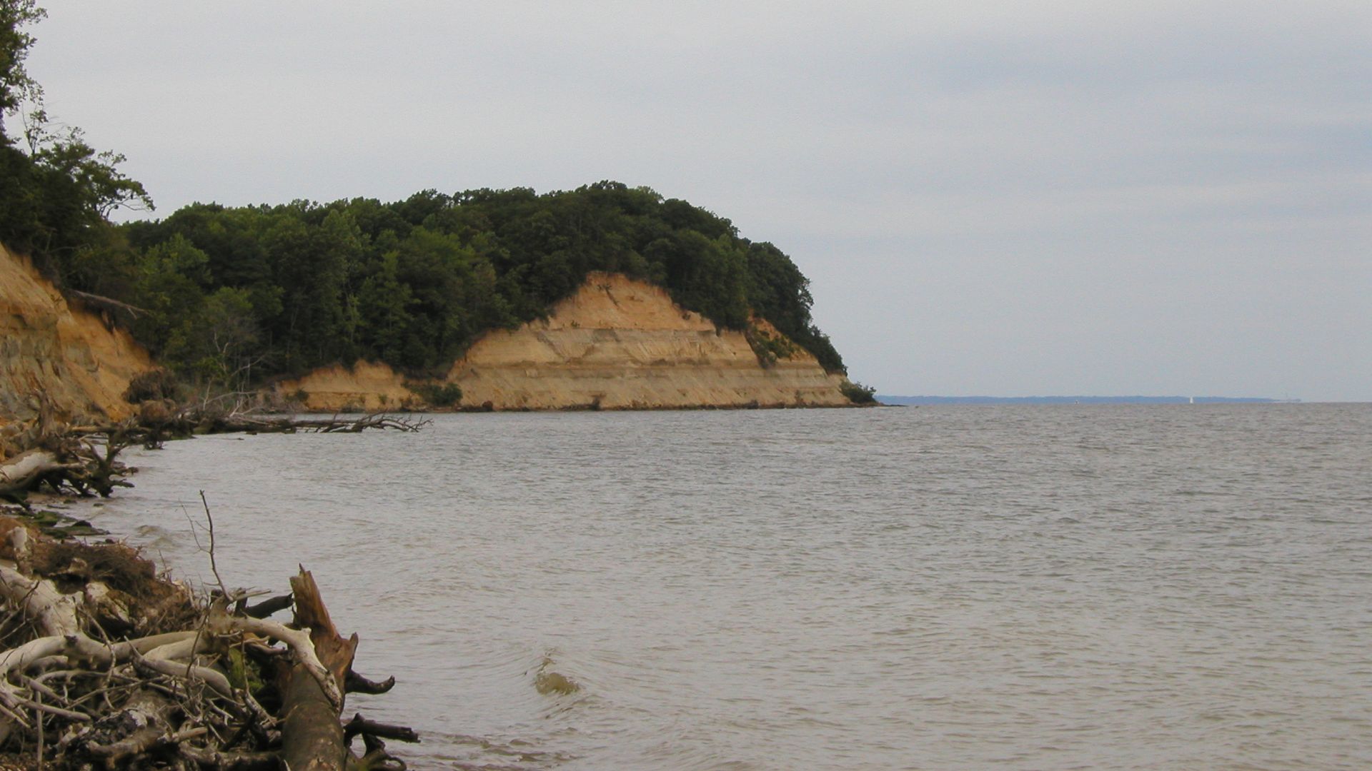 File:Calvert Cliffs, Calvert Cliffs State Park.jpg