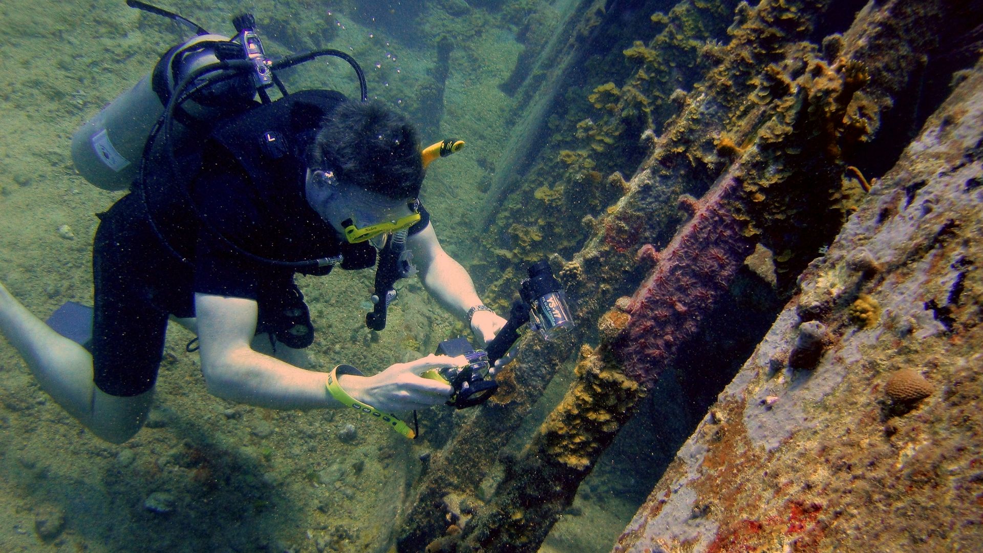 A person in a scuba suit diving in the water