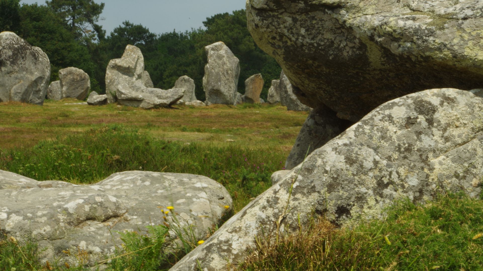 File:The Carnac Stones (42346564485).jpg