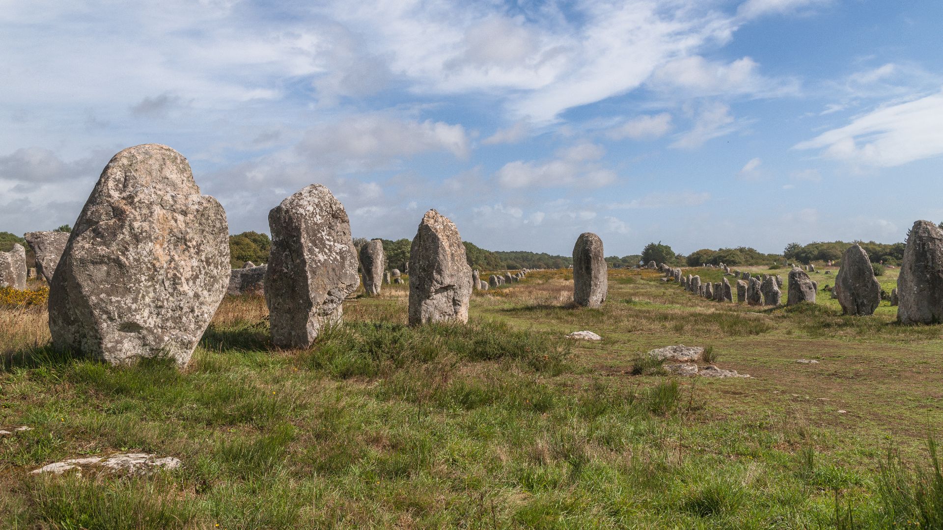 File:20150916 Carnac Bretagne DSC05873 PtrQs.jpg