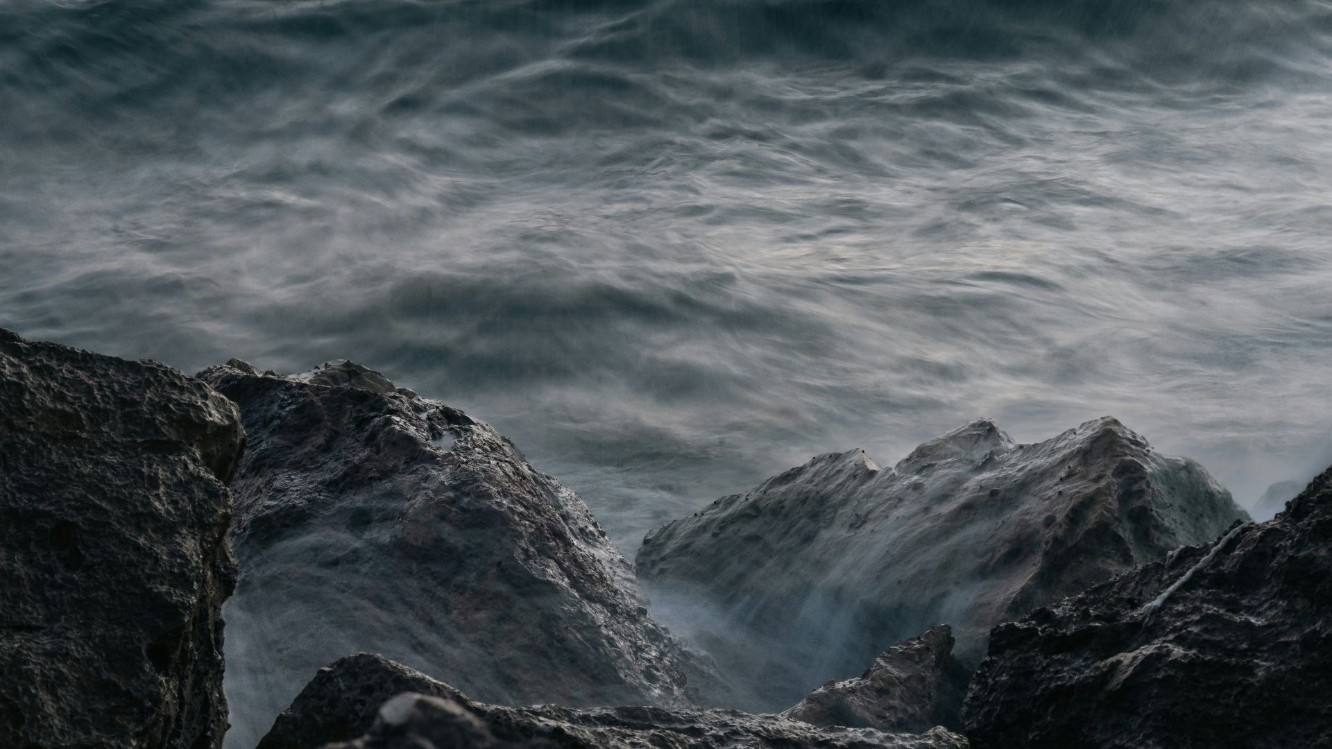 A bird sitting on a rock near the ocean
