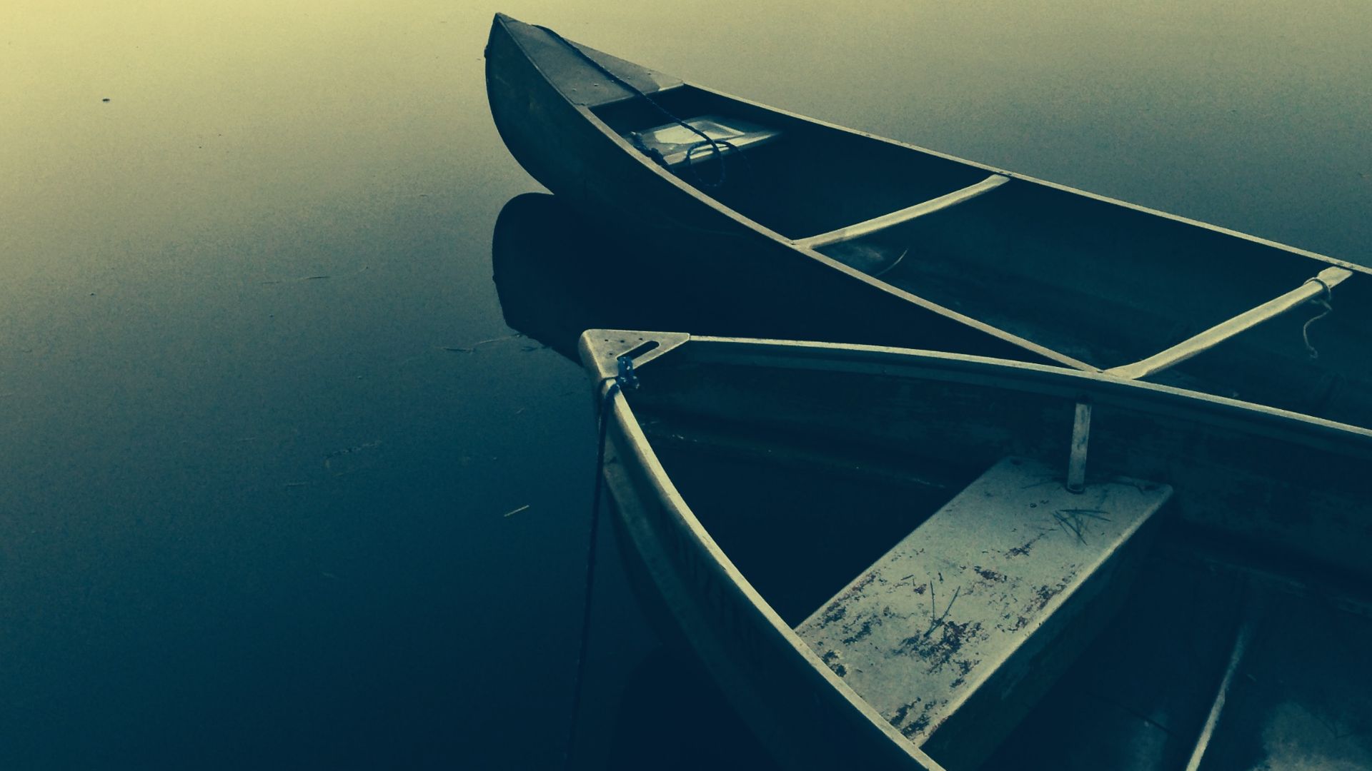 File:Canoe Rides (Unsplash).jpg
