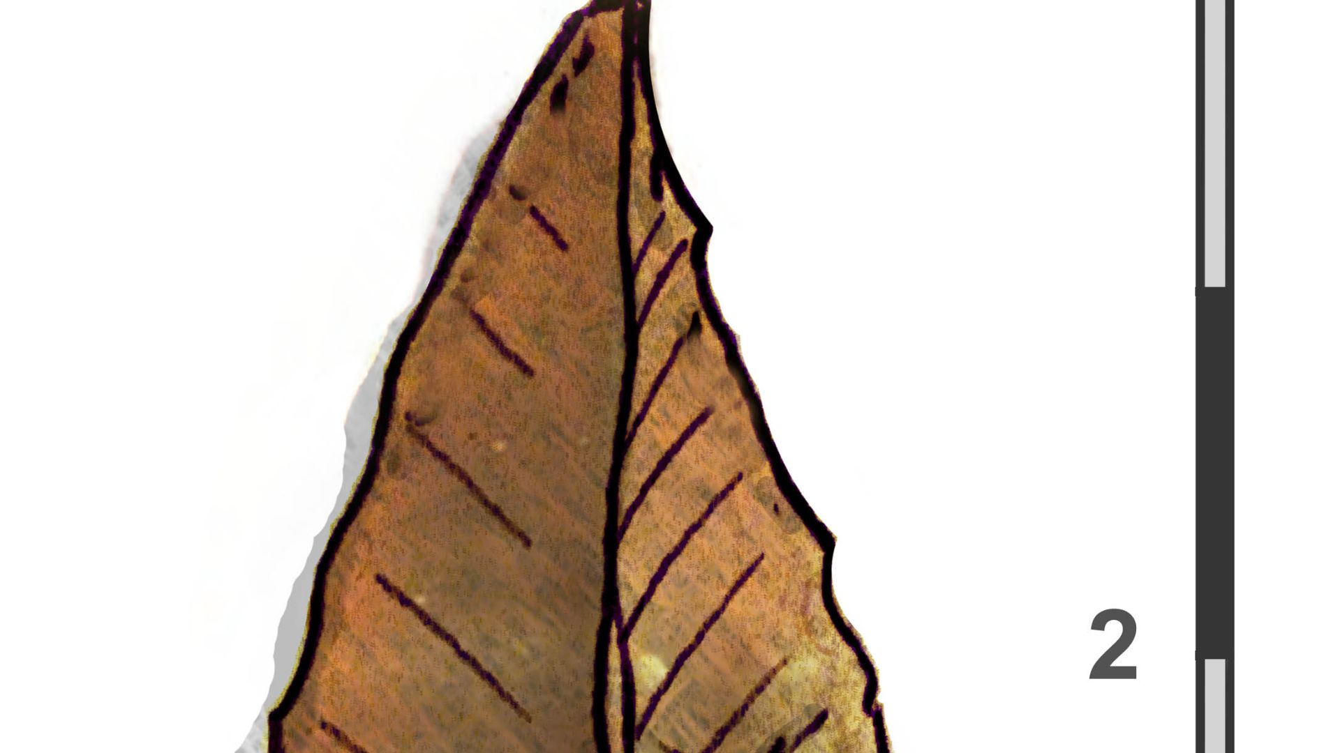 File:Khiam Point from Nahal Hemar (PPNB).jpg