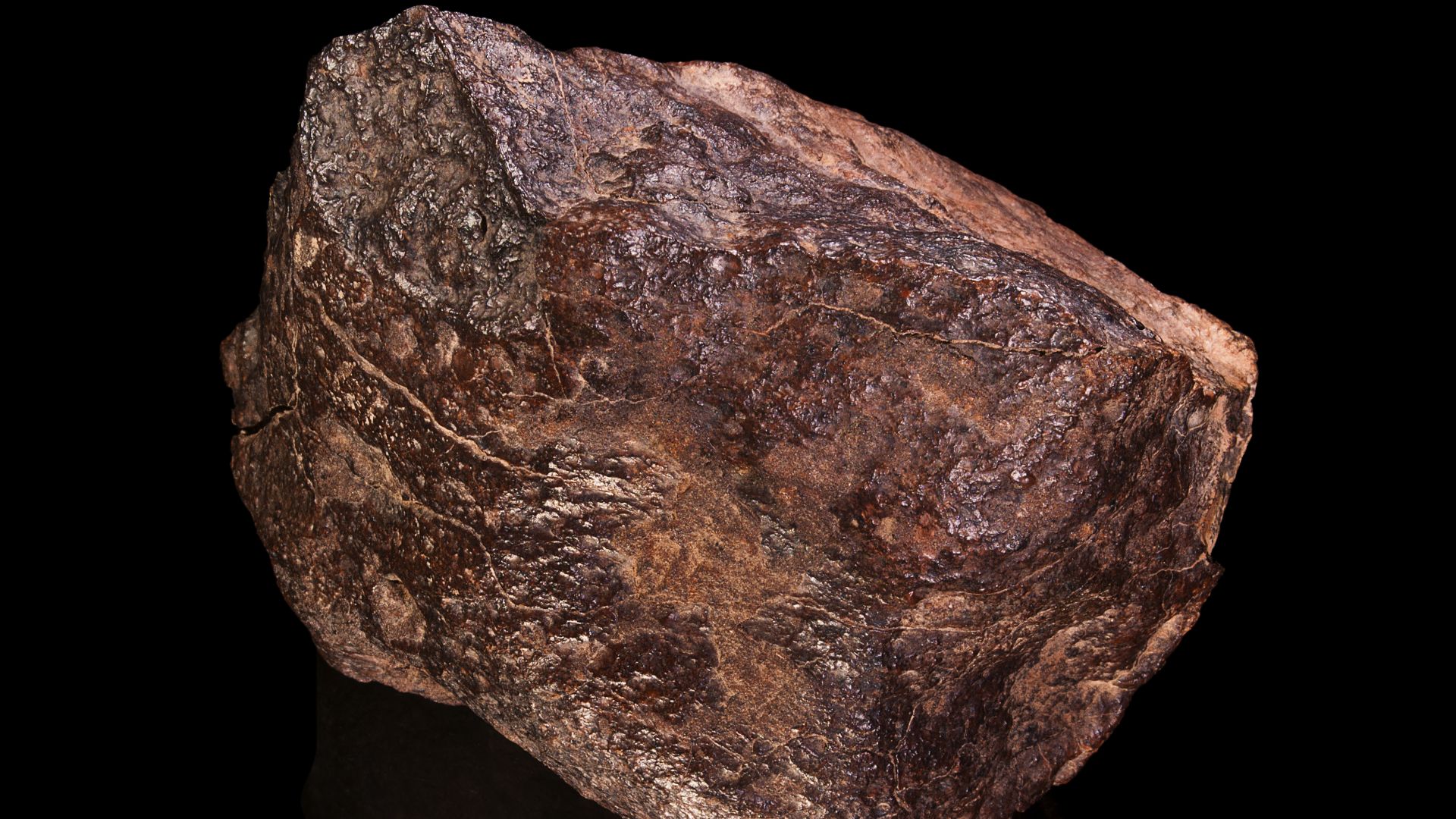 File:Chondrite H5.JPG