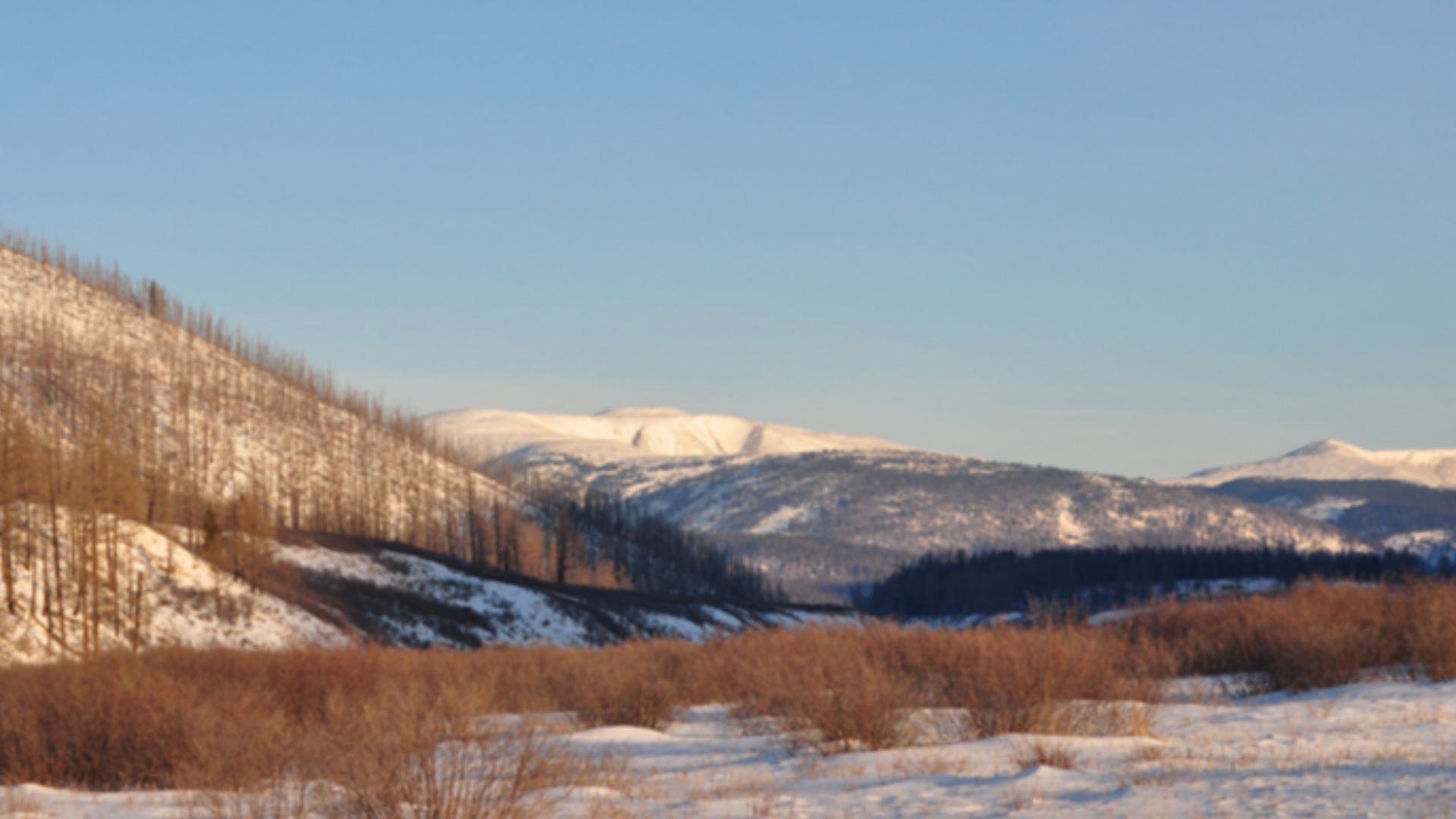 File:بورخان خەلدون.jpg