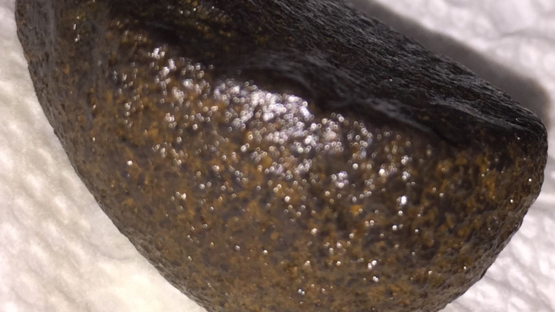 File:What is This? Half Pecan Nut Shaped Rock - Round Surface.jpg