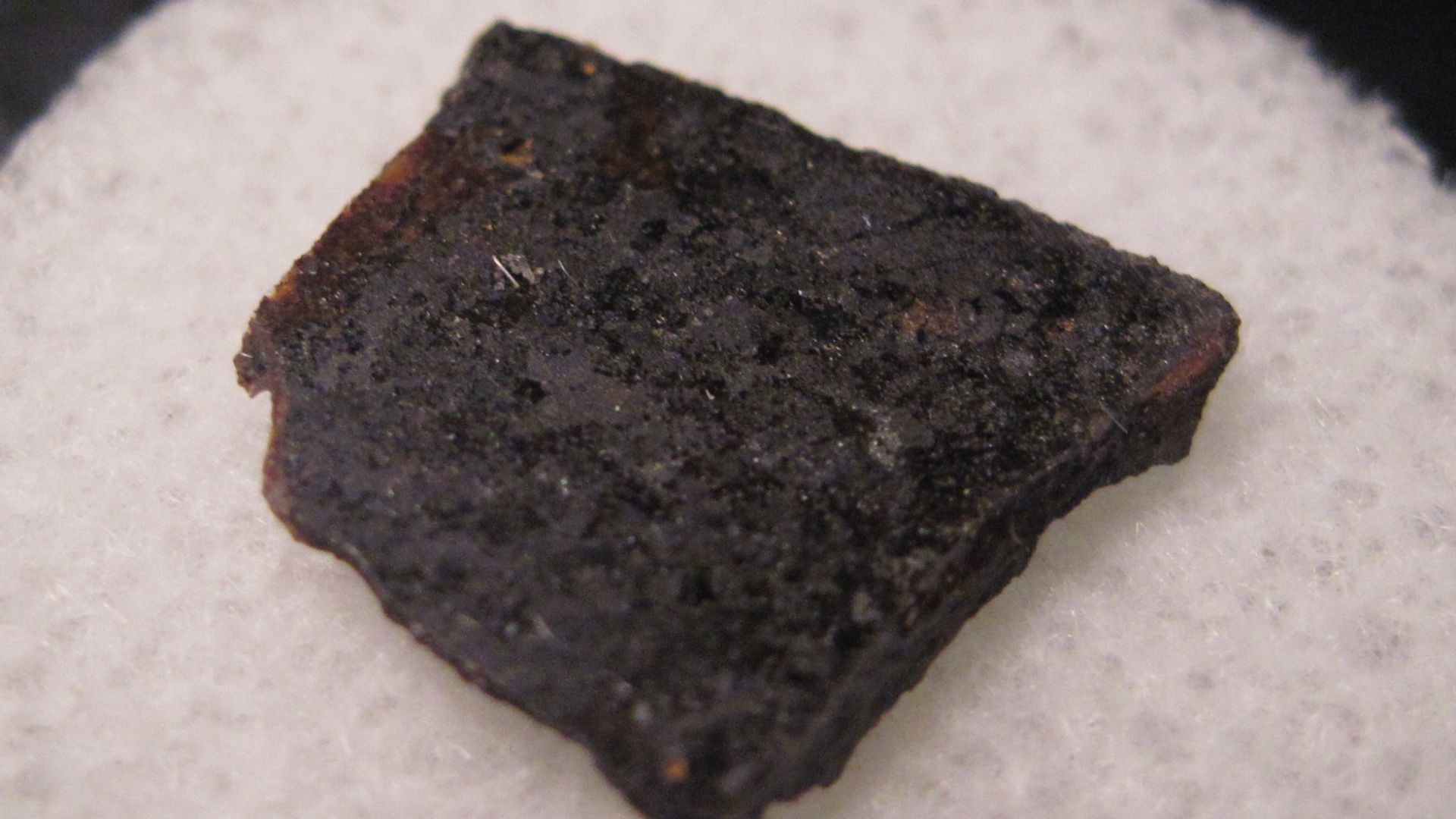 File:NWA 2999 meteorite, angrite.jpg