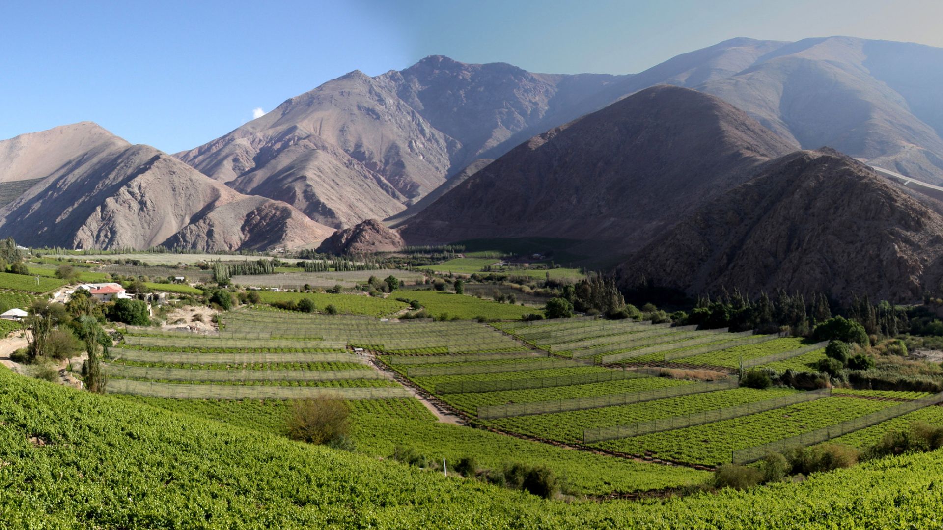 File:Pisco elqui pano3.jpg