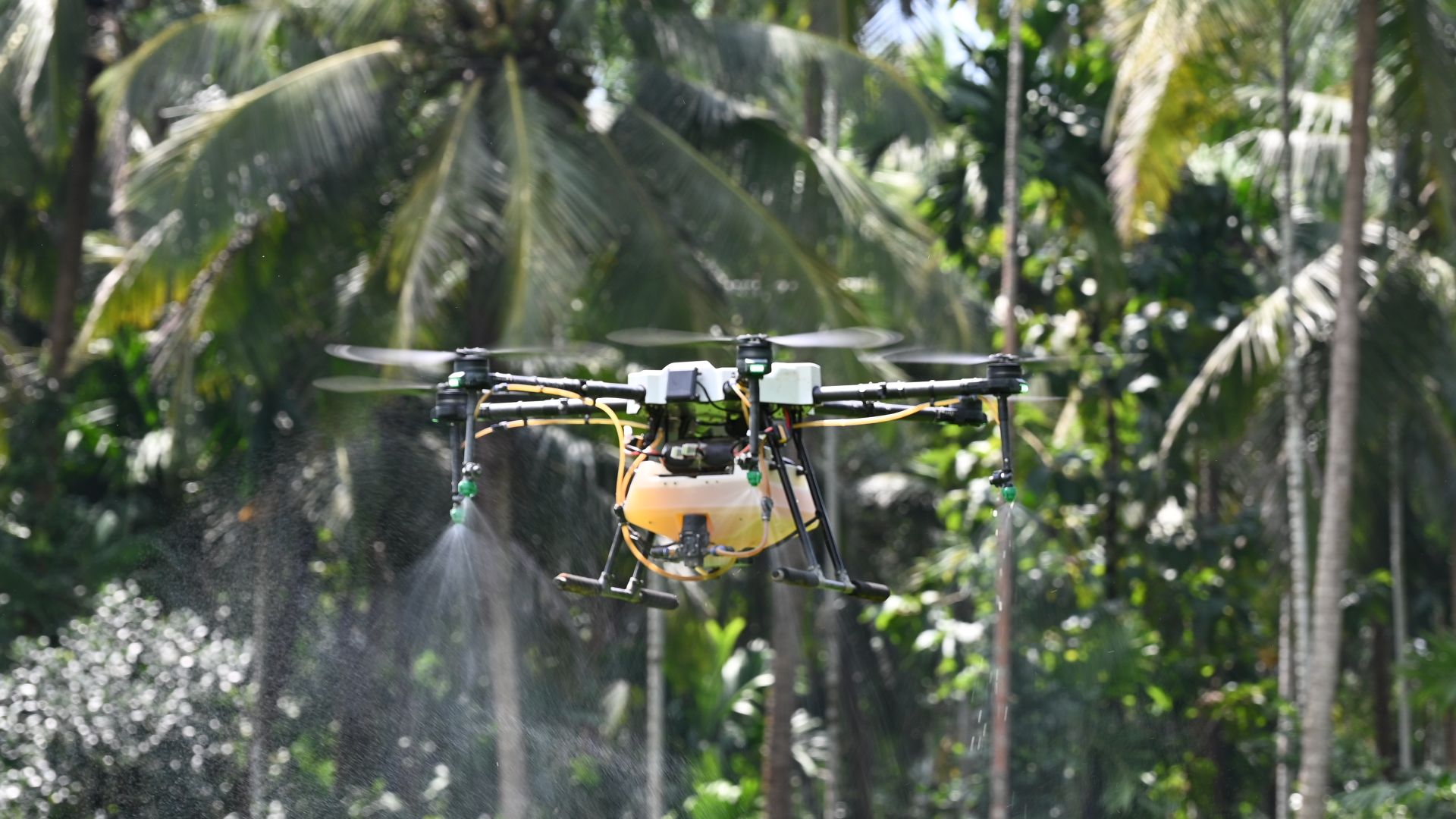 File:Agriculture drone new technology.jpg