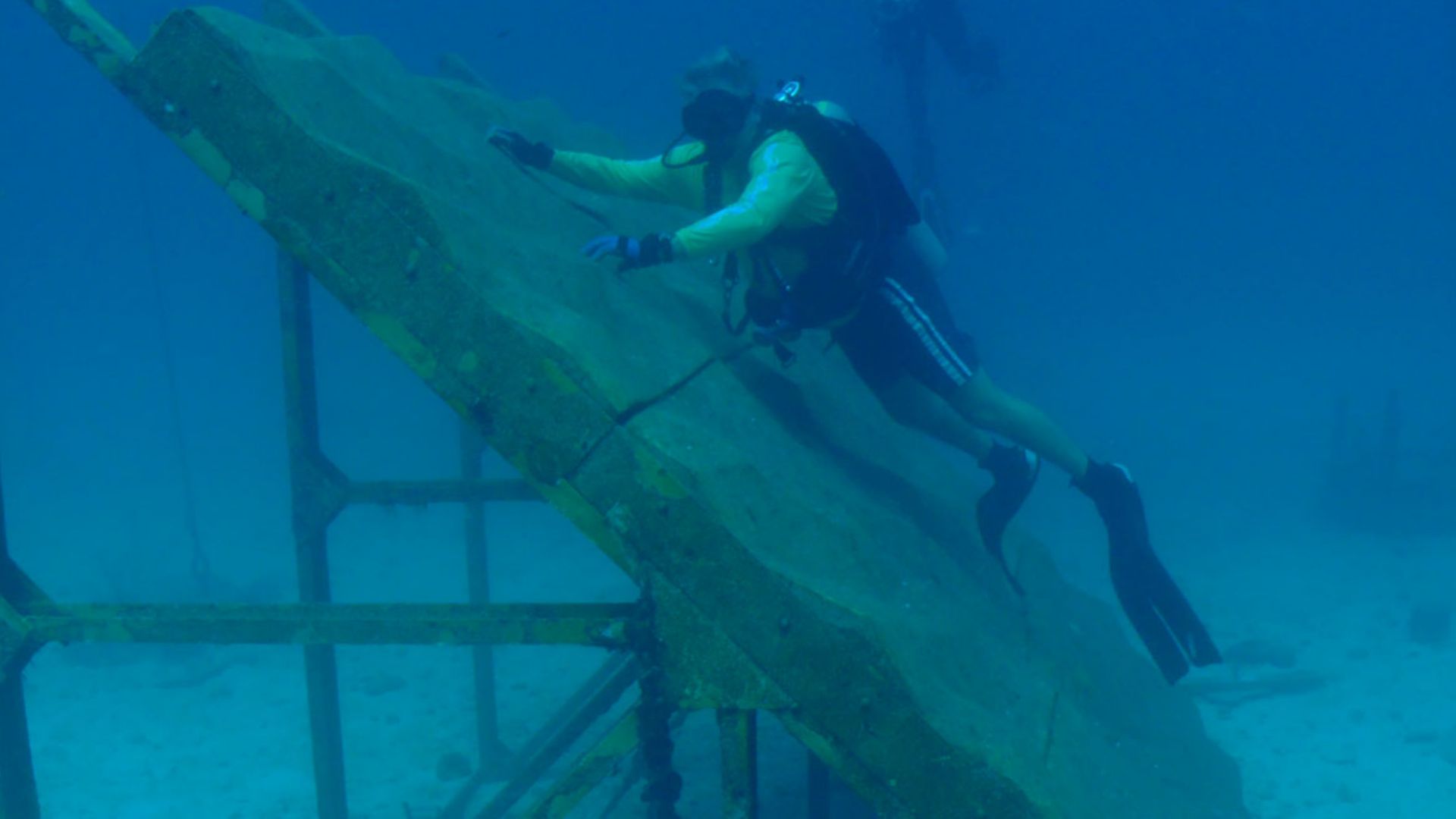File:Rock wall next to the Aquarius laboratory.jpg