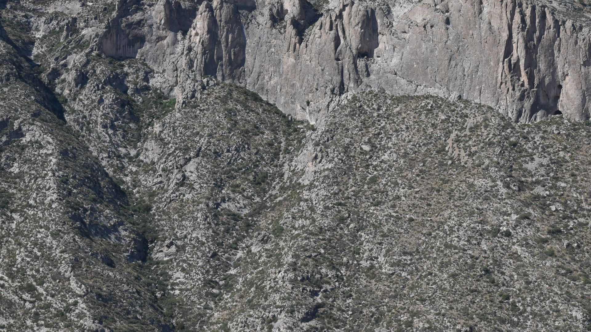 File:Capitan Reef.jpg