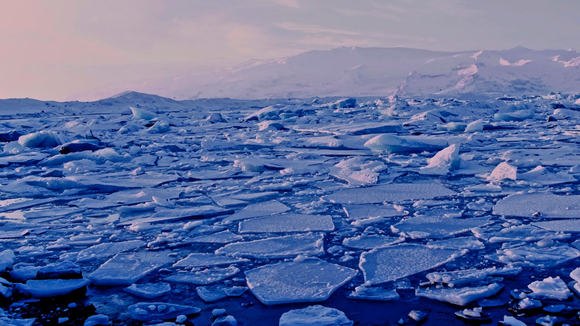File:Watching breaking ice sheets (Unsplash).jpg