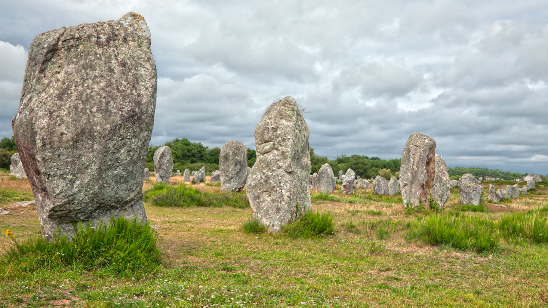 File:Carnac Stones (11919474185).jpg
