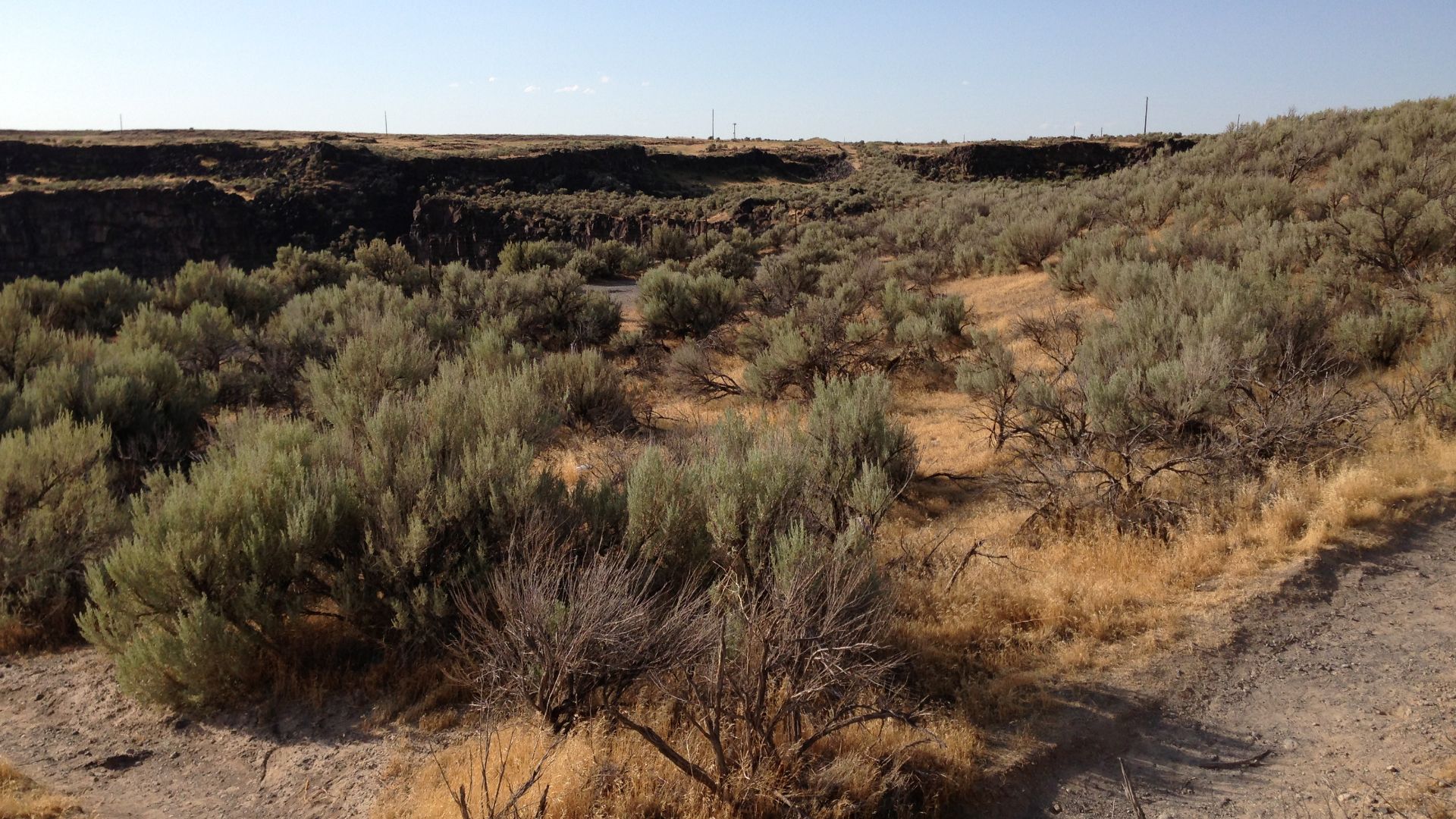 File:2013-07-07 18 42 21 Natural vegetation on the Snake River Plain near Shoshone Falls in Idaho.jpg