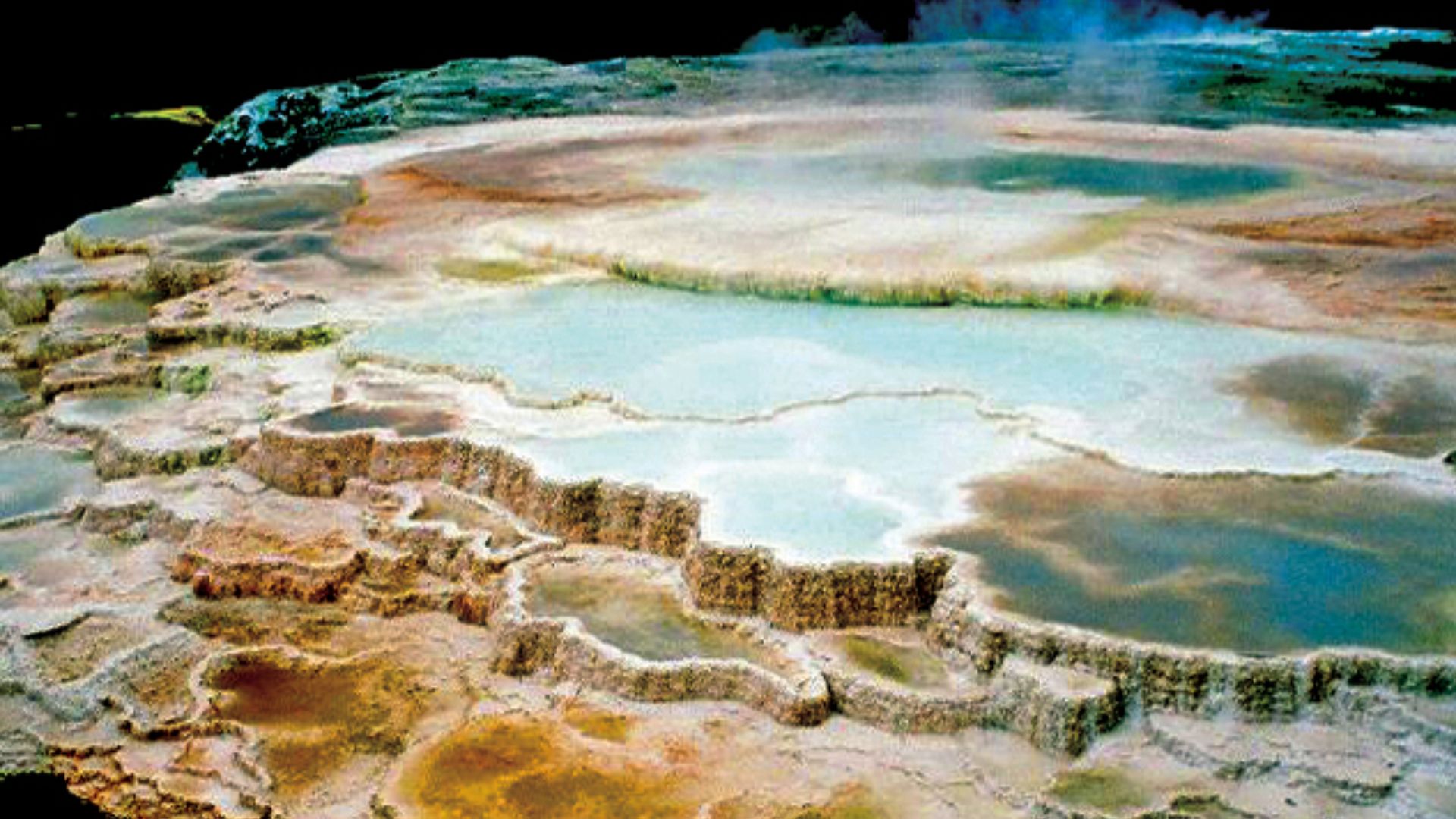 File:MAMMOTH HOT SPRINGS - EXTREMOPHILES.jpg