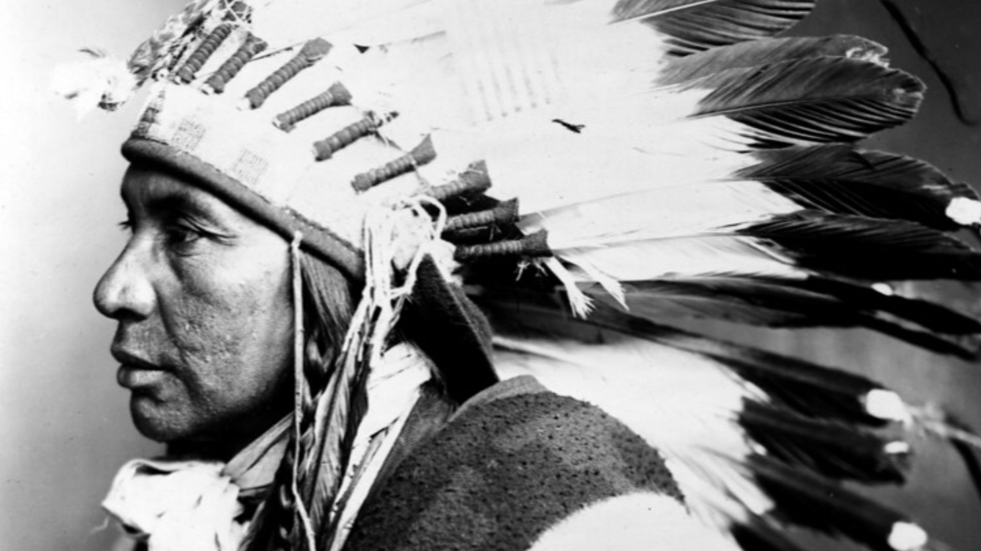 File:Sego, Shoshone Native American.jpg