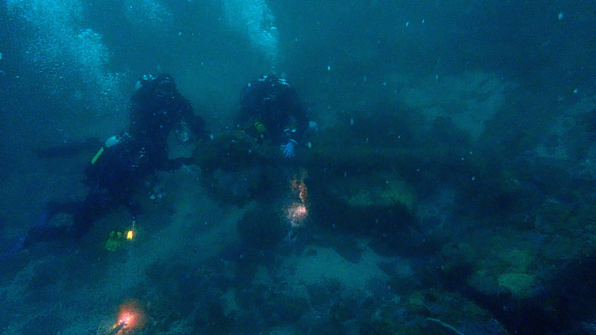File:Wreckless divers at Kelly's anchor, Whittle Rock P8290152.jpg