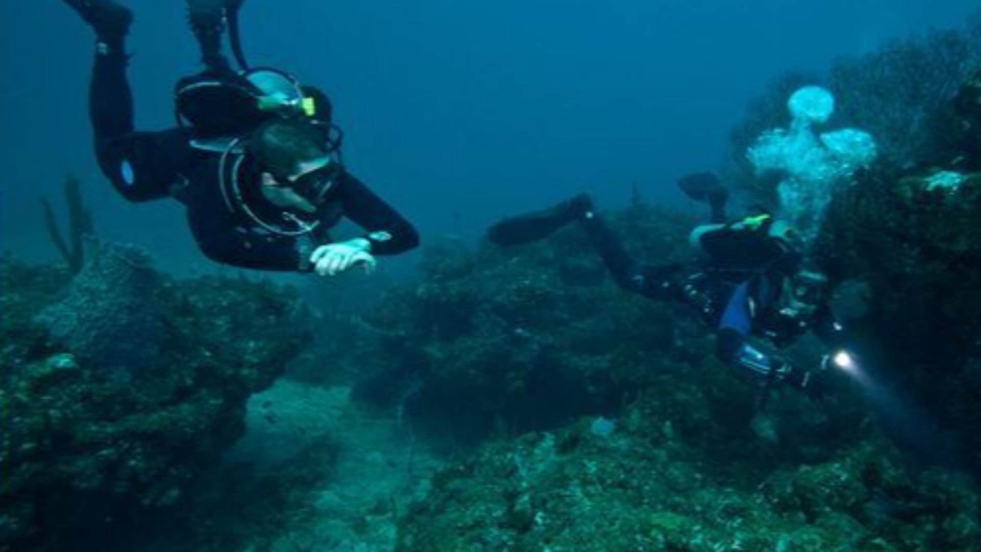 File:DIR Divers Sandra edwards 2010.JPG