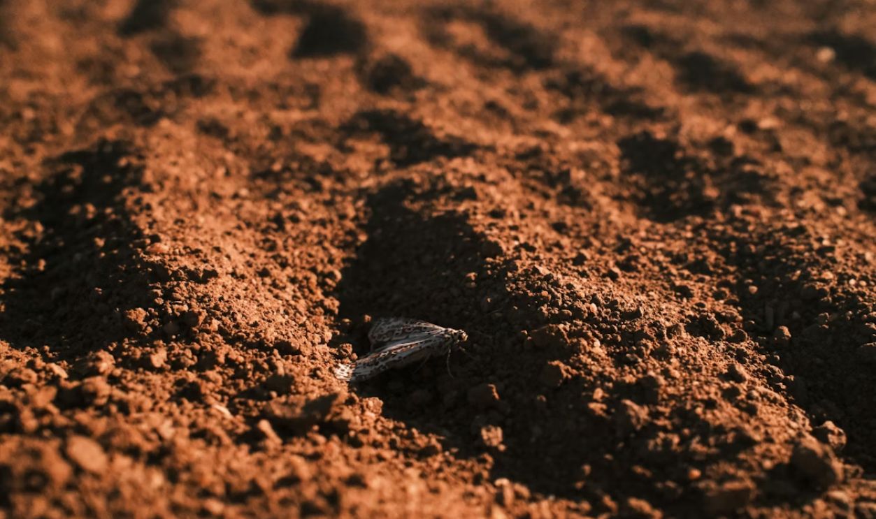 Untitled Design - 2026-02-07T094409.963