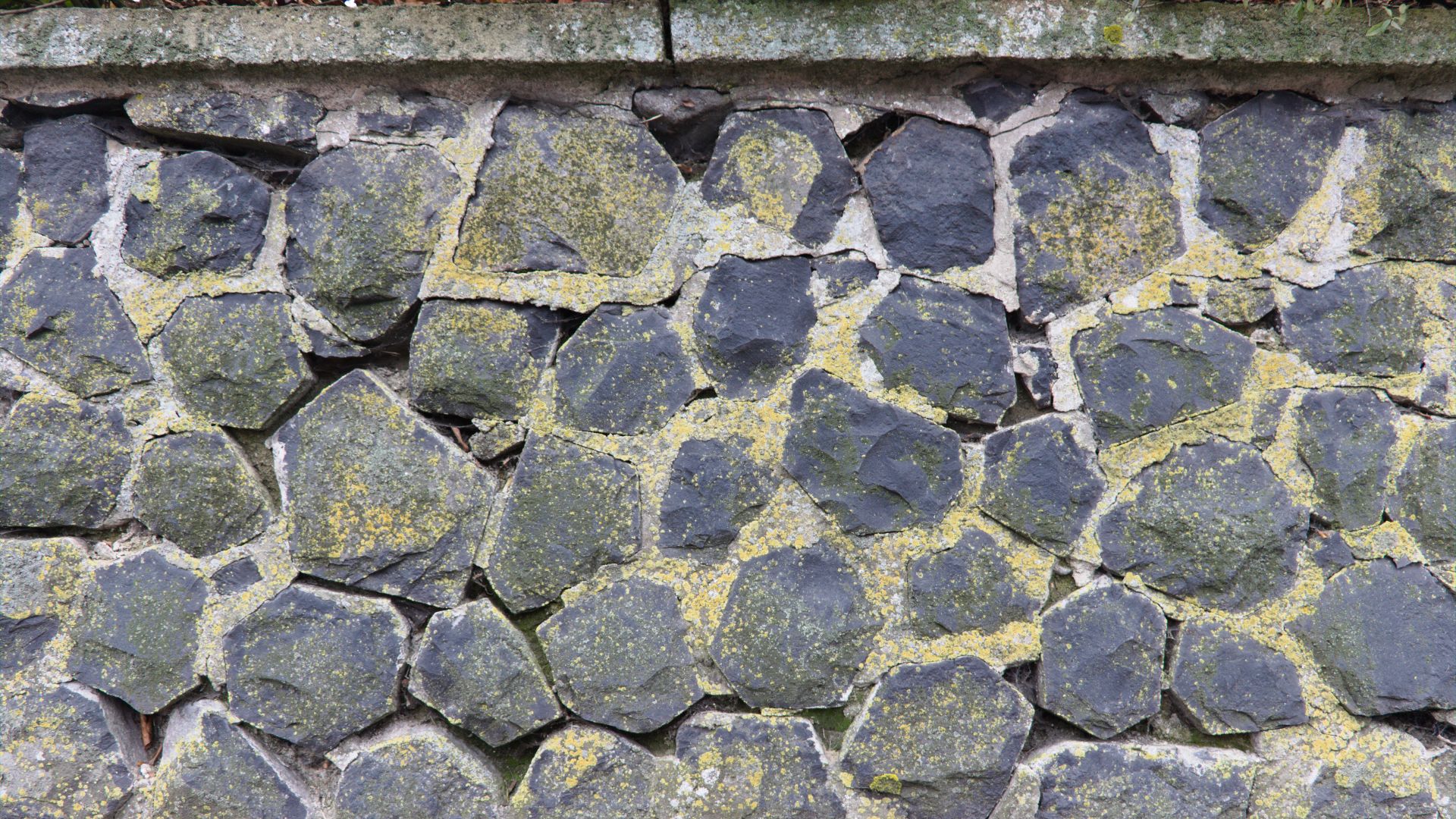 File:Lauterbach Maar Church Retaining wall Columnar Basalt Lichens .png