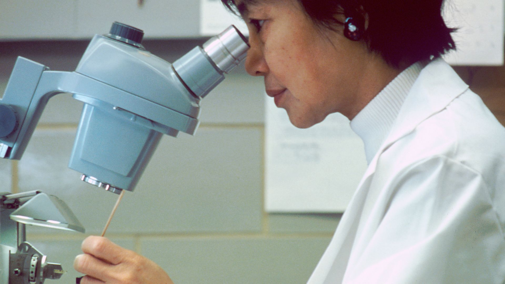 File:Scientist looking thorugh microscope.jpg