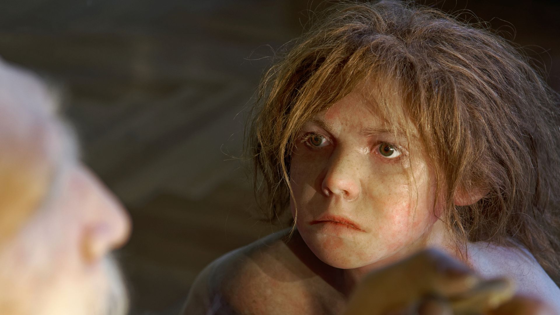 File:Homo neanderthalensis, The Natural History Museum Vienna, 20210730 1225 1278.jpg