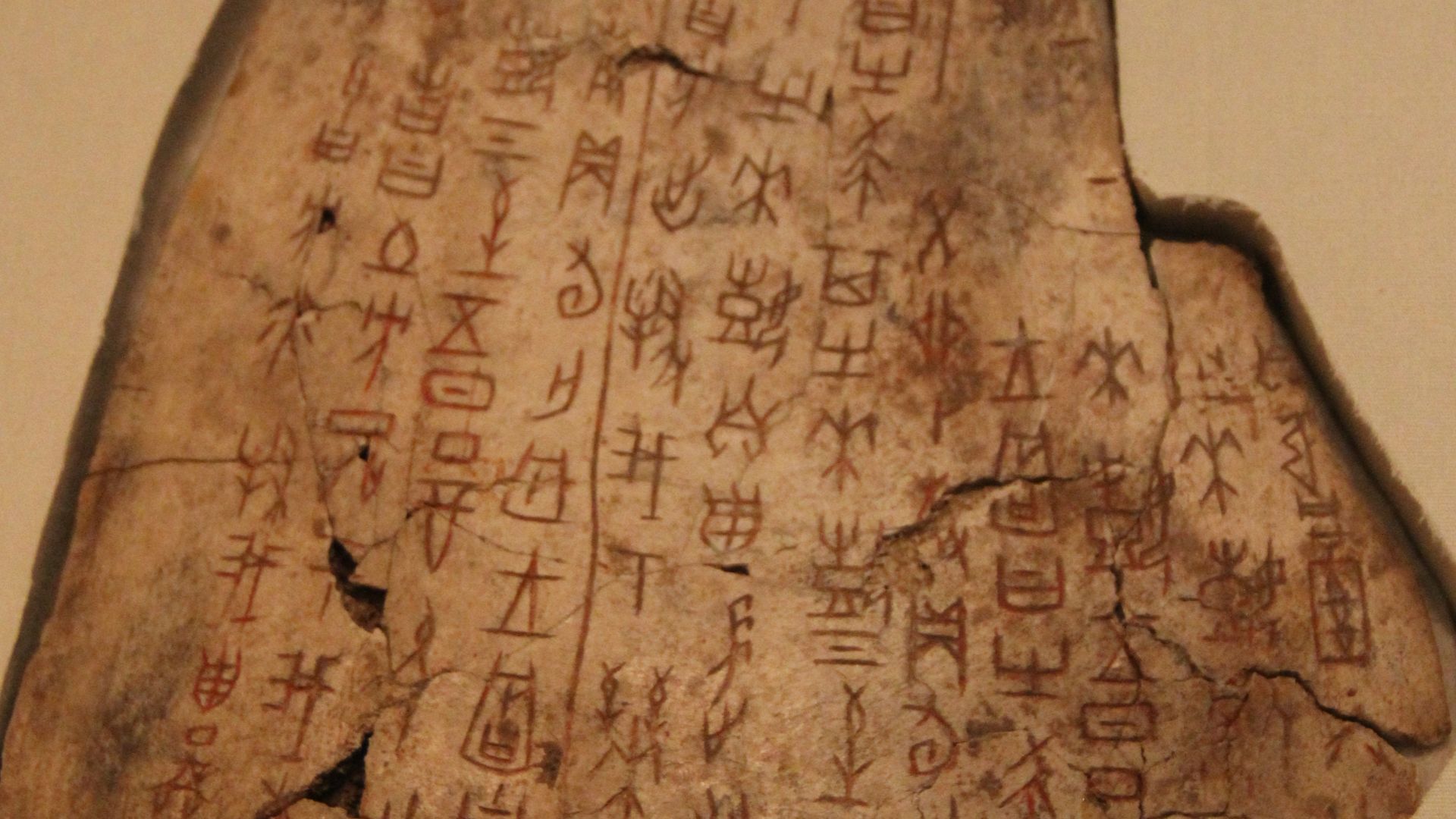 File:Shang Inscribed Ox Scapula (for divination).jpg