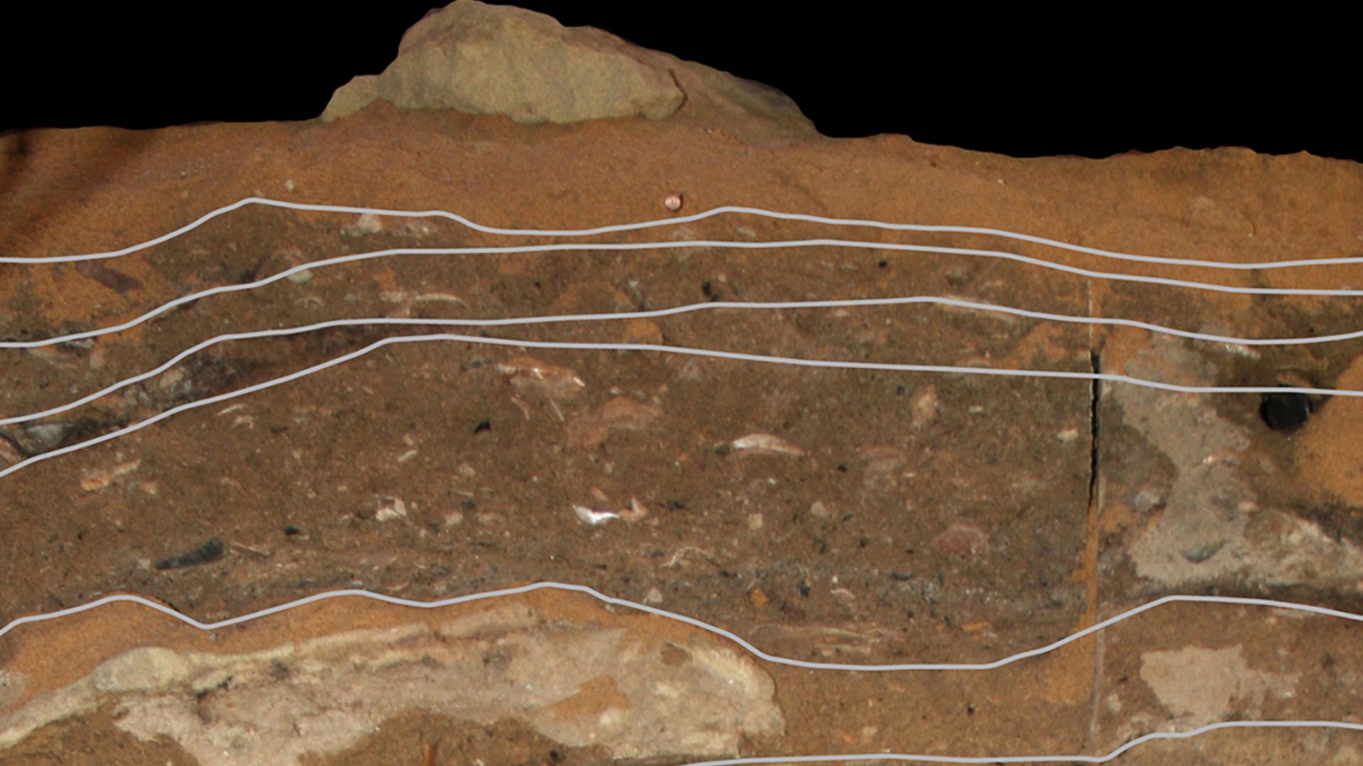 File:Blombos Cave stratigraphy.jpg