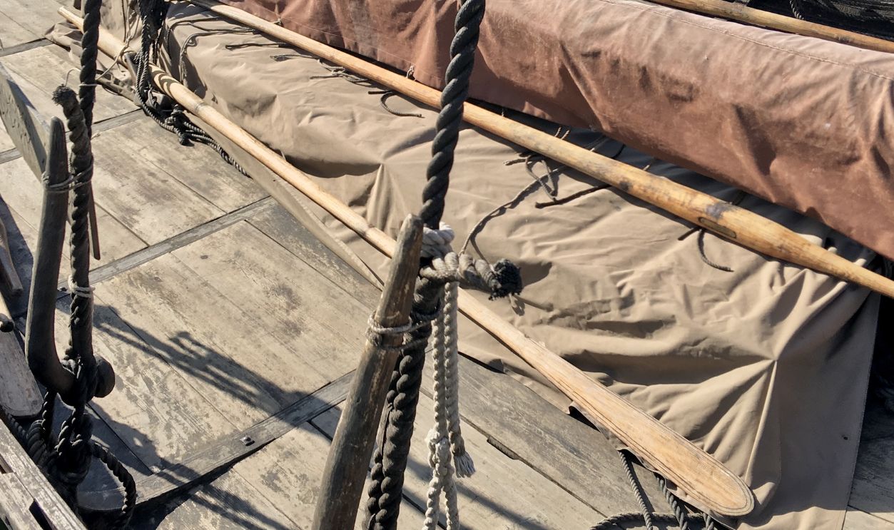 Untitled Design - 2026-02-09T144853.491