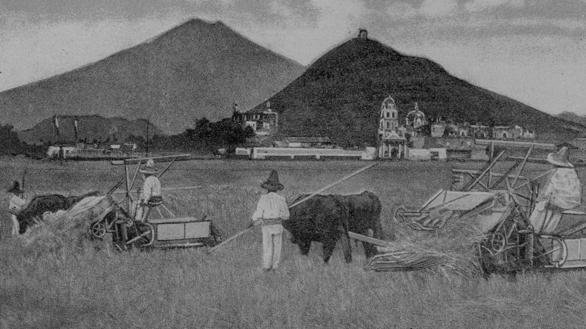 MEXICO - Modern American Binders near the Pyramids of Cholula. Mount Popocatepetl in the distance.
Copyright 1910 - International Harvester Company of America (Incorporated), Chicago
Date: 1910
Source Type: Postcard
Printer, Publisher, Photographer: Unknown
Postmark: None
Collection: Steven R. Shook

Copyright 2010. Some rights reserved. The associated text may not be reproduced or transmitted in any form or by any means, electronic, mechanical, photocopying, recording, or otherwise, without prior written permission of Steven R. Shook.