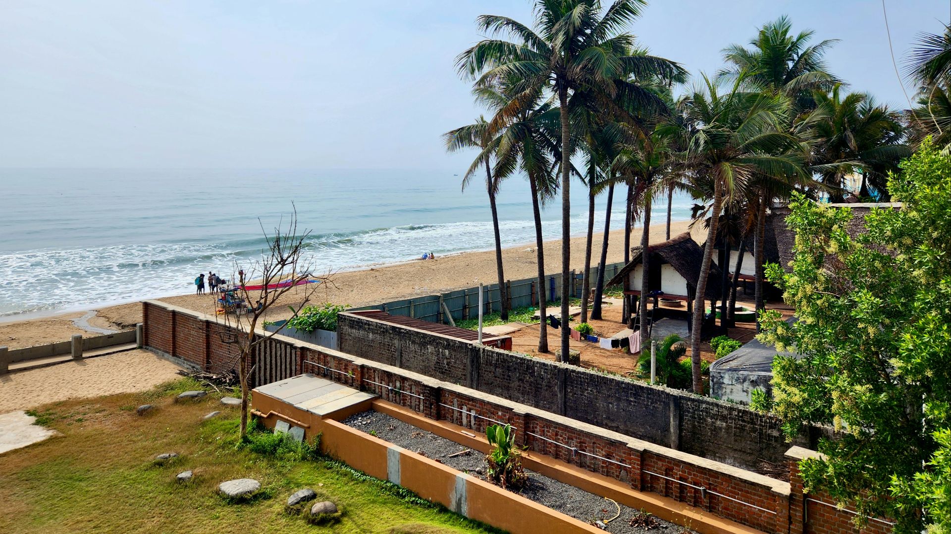 a view of a beach with palm trees in the foreground