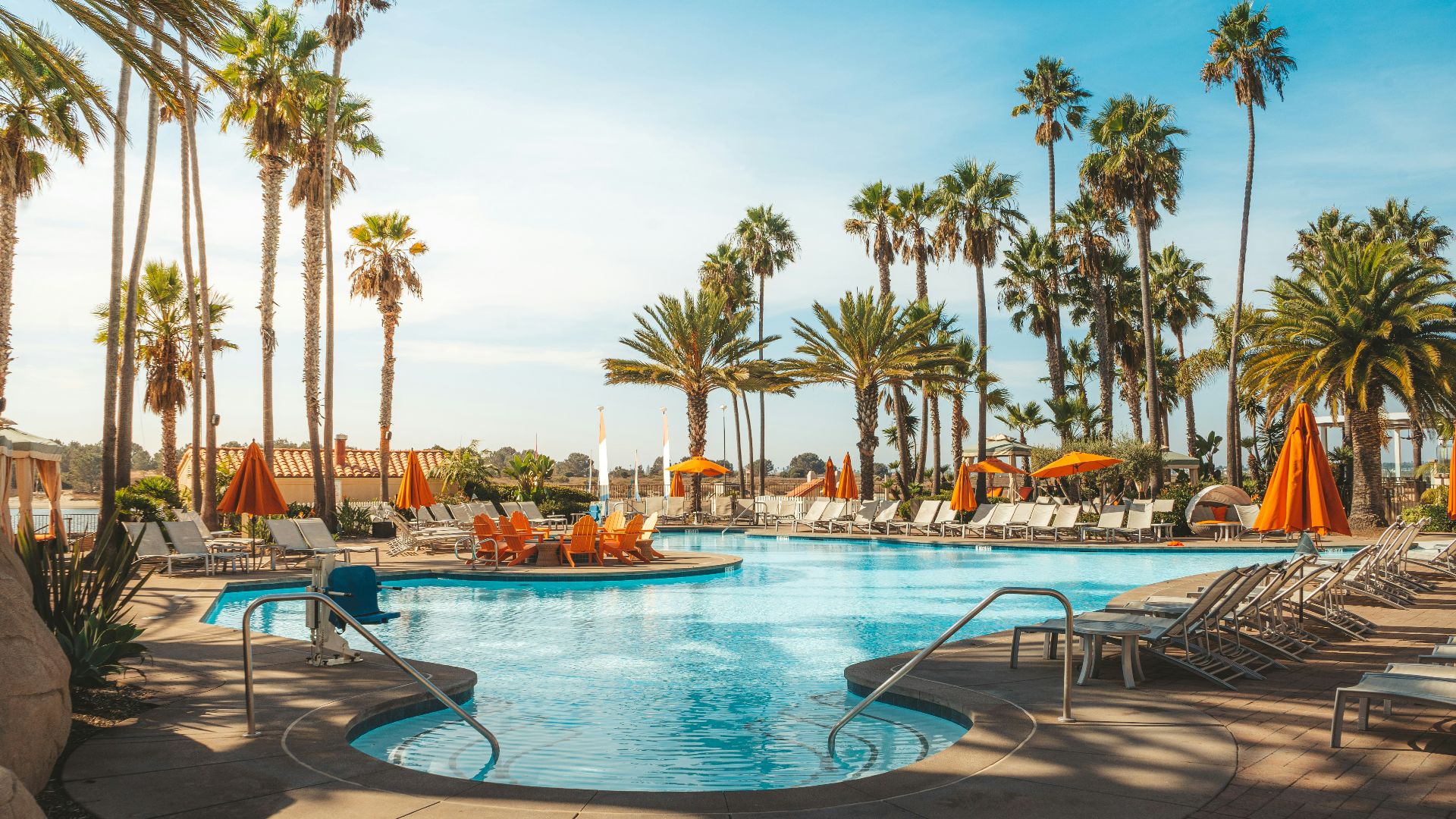 swimming pool near palm trees during daytime