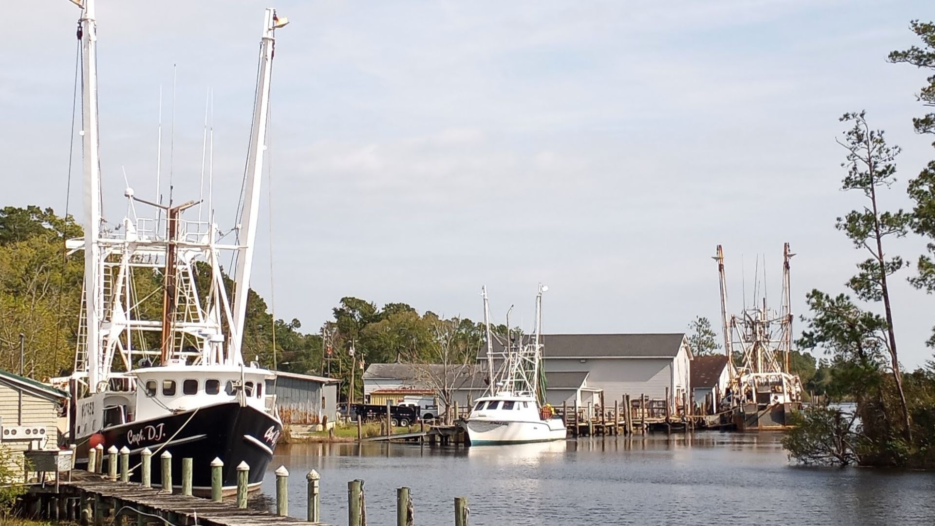 Commercial fishing boats on the Bay River, Bayboro, North Carolina
