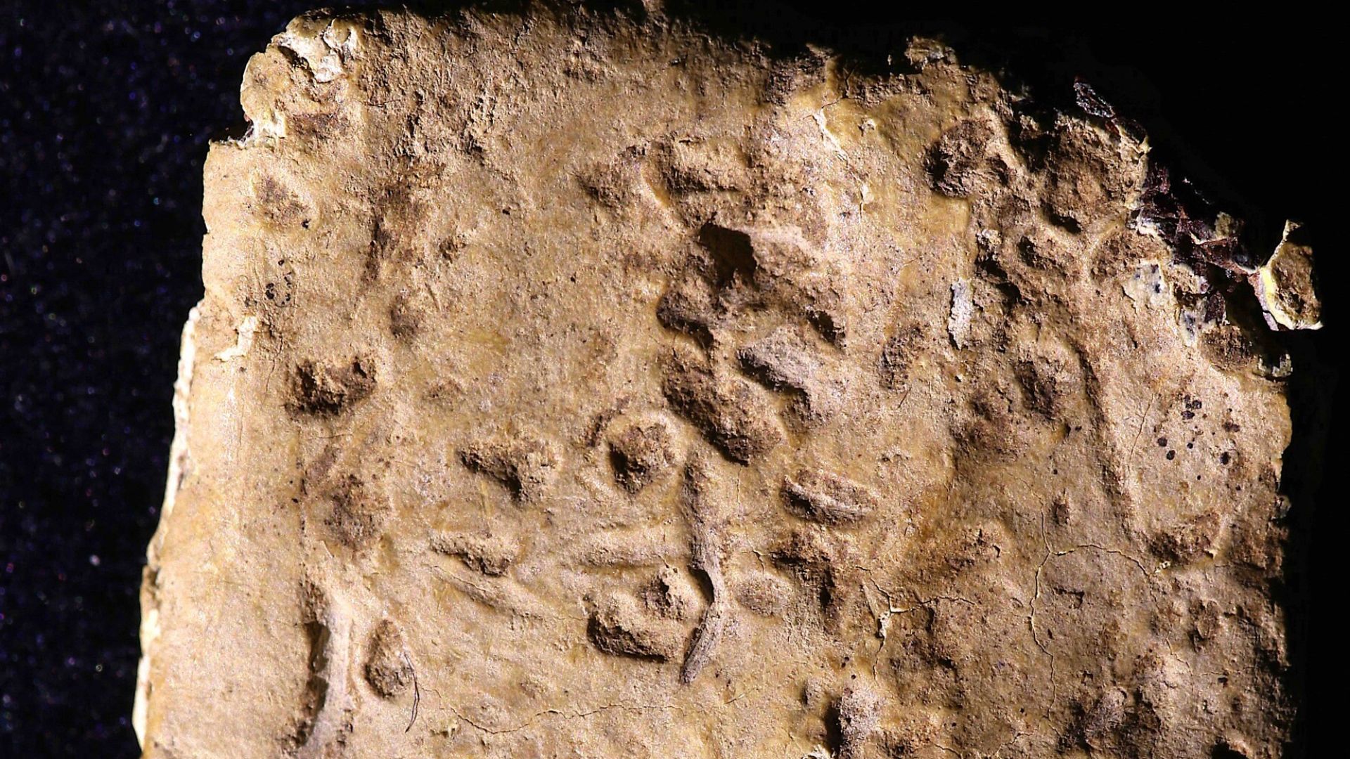 Mount Ebal Curse Tablet, thought to date to 1200 BCE, first written record of the tetragrammaton.