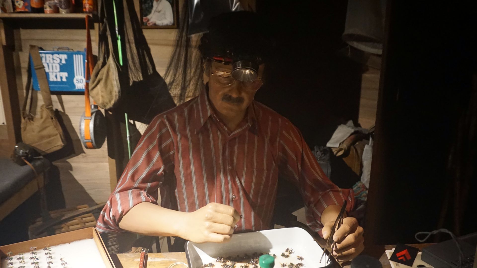 The Today's Scientist: In the Field diorama in the Rainforest exhibit at the Milwaukee Public Museum in Milwaukee, Wisconsin (United States).